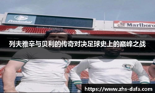 大发彩票国际